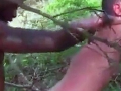 Big Black Cock Breeds White Hole Outdoors